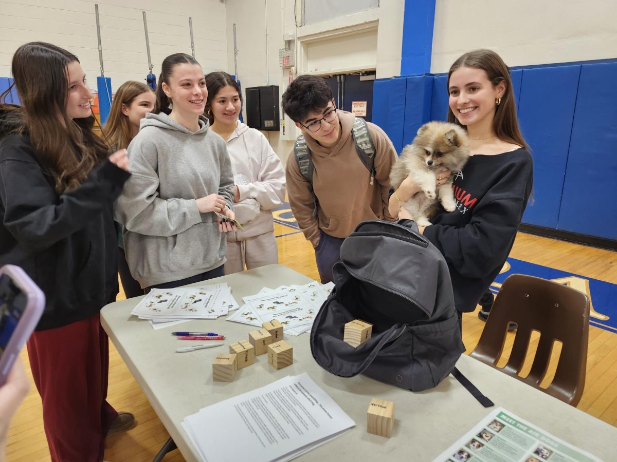 Hannah Zoller '26 brings her therapy dogs to school as part of her senior independent study project.